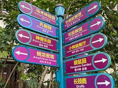 -灵玲国际马戏城