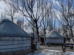 -九十九顶毡房(阜石路店)