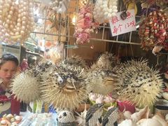 -大澳渔村及棚屋