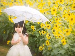 -二沙岛艺术公园