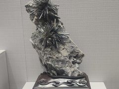 -湖南省地质博物馆