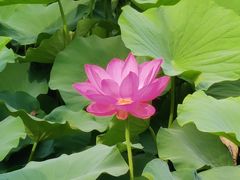 -莲池书院博物馆