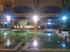 -咸宁万豪温泉谷度假区