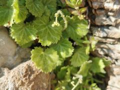 -幕燕滨江·长江观音景区