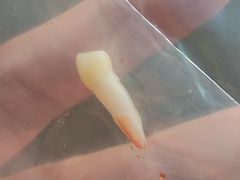 -泰康拜博口腔(凯迪大厦店)