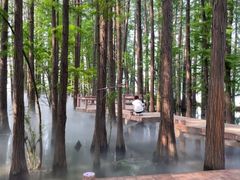 -东湖落雁景区