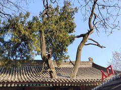 -西安碑林博物馆