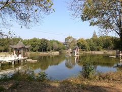 -青龙山国家森林公园