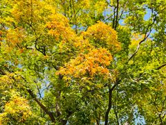 -国家植物园南园