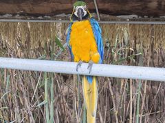 -西霞口神雕山野生动物世界