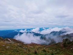 -白草畔自然风景区