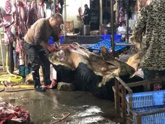 -马王堆海鲜水产市场