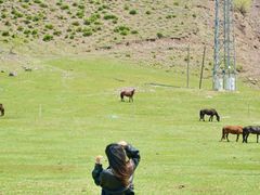 -塞罕坝国家级自然保护区