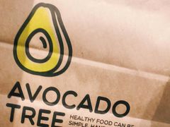 -油梨树AVOCADO TREE(嘉里中心店)