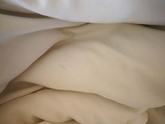 -汕头金乐大酒店