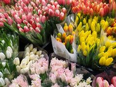 -循礼门鲜花花市(武汉循礼门店)