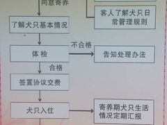-良成狗狗乐园