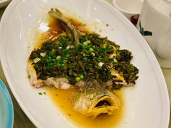 特色蒸大黄鱼-顺风山庄(水濂山店)