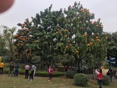-晓港公园