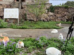-惠山国家森林公园