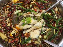 -乡土特色.冷锅鱼.牦牛肉汤锅