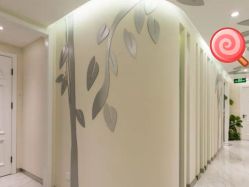 -健身堂科技美肌SPA