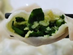 韭菜鸡蛋水饺-九先生水饺(傅厚岗店)