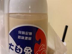 -猫的魔法密林(衣裳街店)