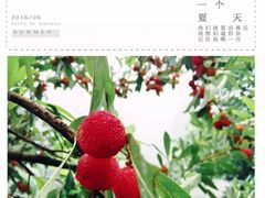 -大罗山风景区