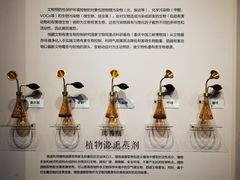 -重庆中国三峡博物馆(重庆博物馆)