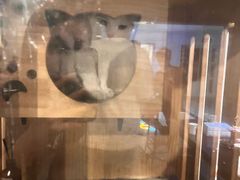 -Mr.Fox狐狸先生超级密室(南山店)