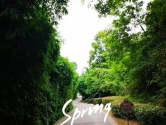 -贵阳市花溪国家城市湿地公园