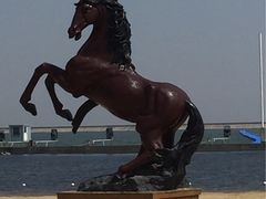 -碧海金沙