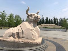 -永定河休闲森林公园