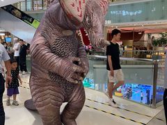 -金光华广场