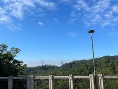 -深圳仙湖植物园