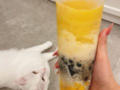 -喜茶(珠海华发商都店)