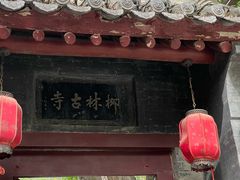 -西安曲江寒窑遗址公园