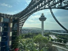 -樟宜机场皇冠假日酒店 （SG Clean） - IHG 旗下酒店