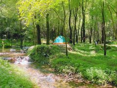 -玉渡山自然风景区