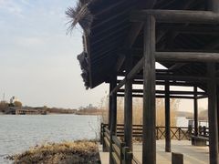 -长广溪湿地公园