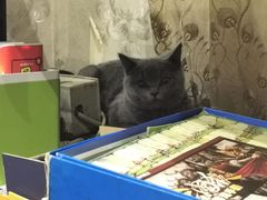 -吱咖啡西式简餐
