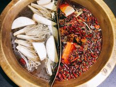 菌汤鸳鸯锅-沸炉重庆老火锅(军事博物馆店)