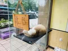 -派联宠物医院·24h·CT·异宠