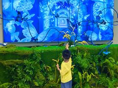 -深圳龙华星河COCO City(民治店)