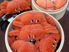 -黄记大闸蟹专卖店·活蟹·醉蟹