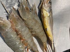 -江合勇丹东兄弟小串海鲜烧烤(总店)