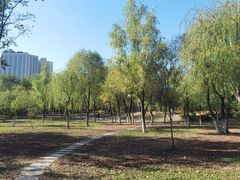 -滨河世纪广场公园