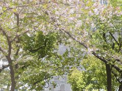 -玛格萝妮比萨屋(四平店)