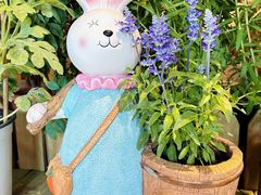 -萤火虫咖啡(后海店)